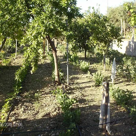Bed & Breakfast Sophia Al Chiar Di Luna Licata